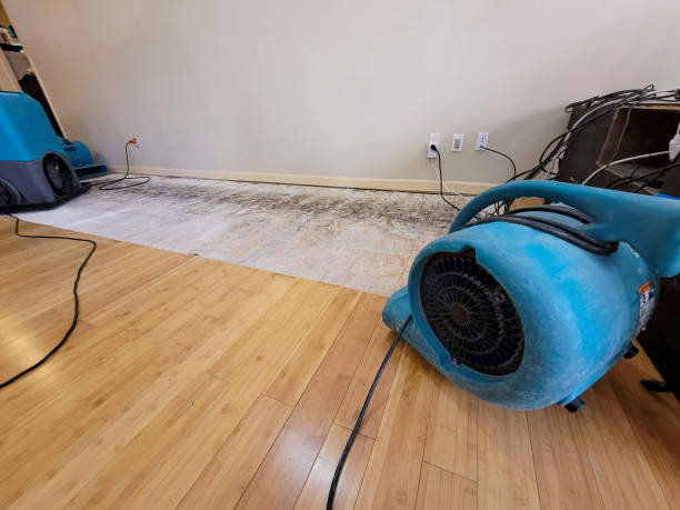 Professional Structural Drying technician working in Spring Glen, UT